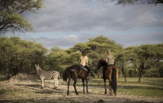 Natural Selection - Botswana - Ausritt