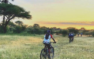 Natural Selection - Botswana - Fahrradsafari