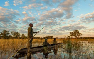 Natural Selection - Botswana - Jacks Camp - Mokoro-Safari