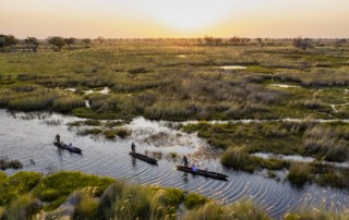 Natural Selection - Botswana - Jacks Camp - Mokoro-Safari
