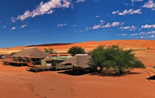 Natural Selection - Namibia - Kwessi Dunes