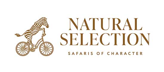 Natural Selection Logo
